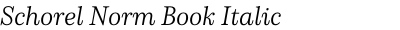 Schorel Norm Book Italic